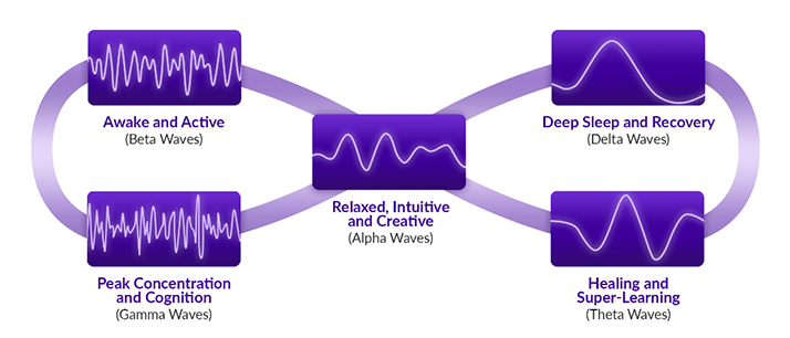 Chiropractic Hammond IN Brain Waves